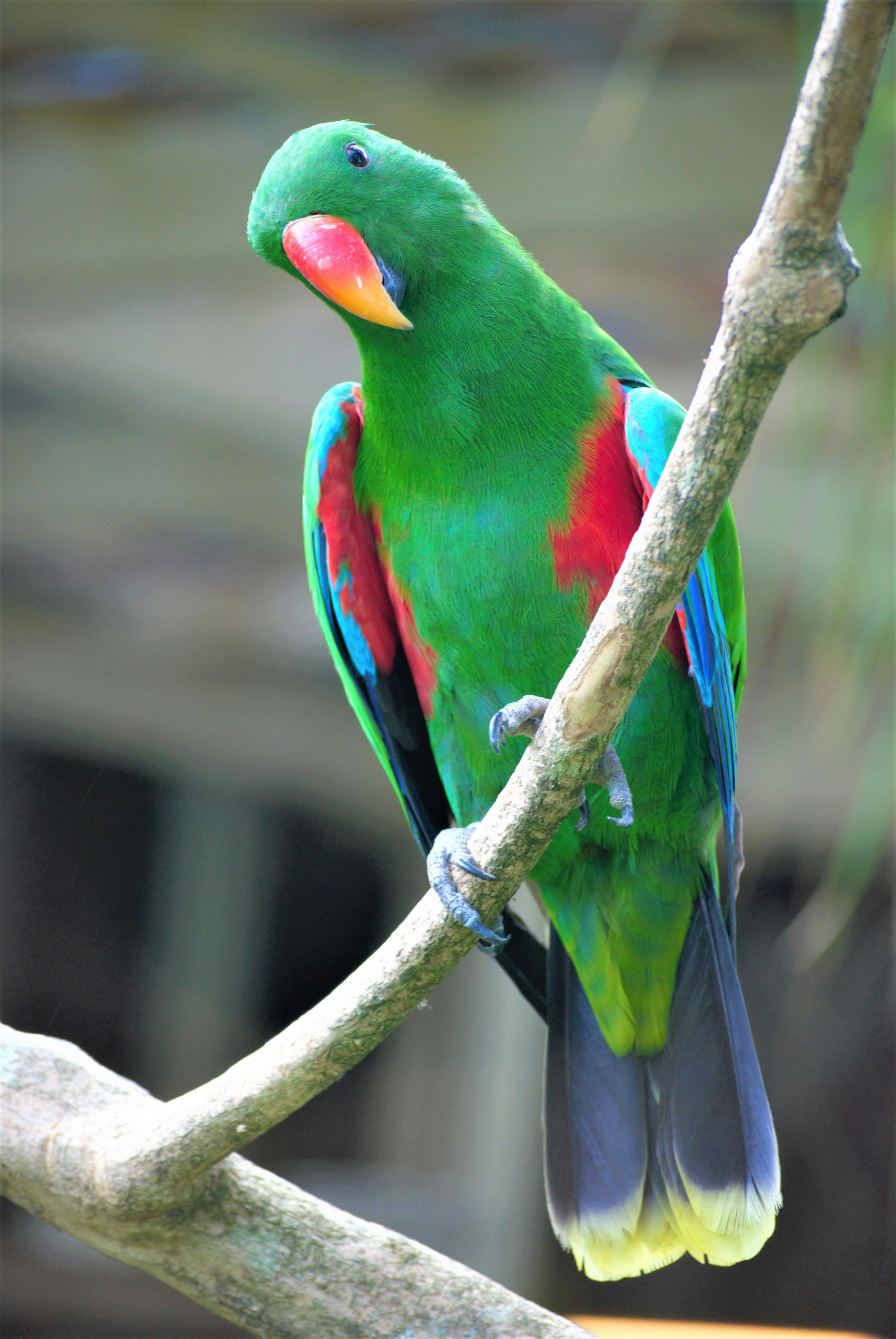 Smart Ways to Explore Como Parrot Cay: Top 5 Resorts to Enjoy in 2025