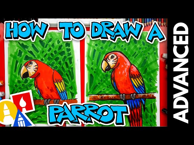 How to Draw a Parrot Step by Step