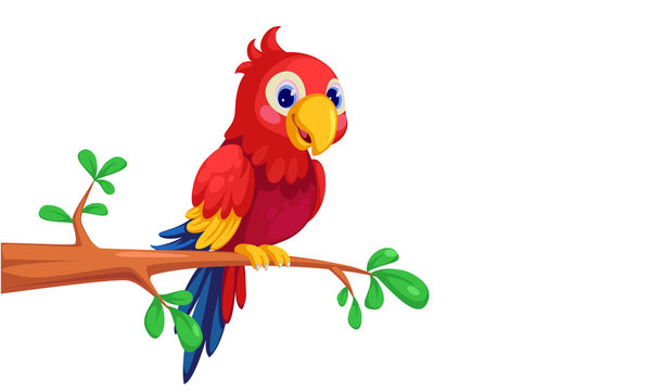 Vibrant Parrot Cartoon