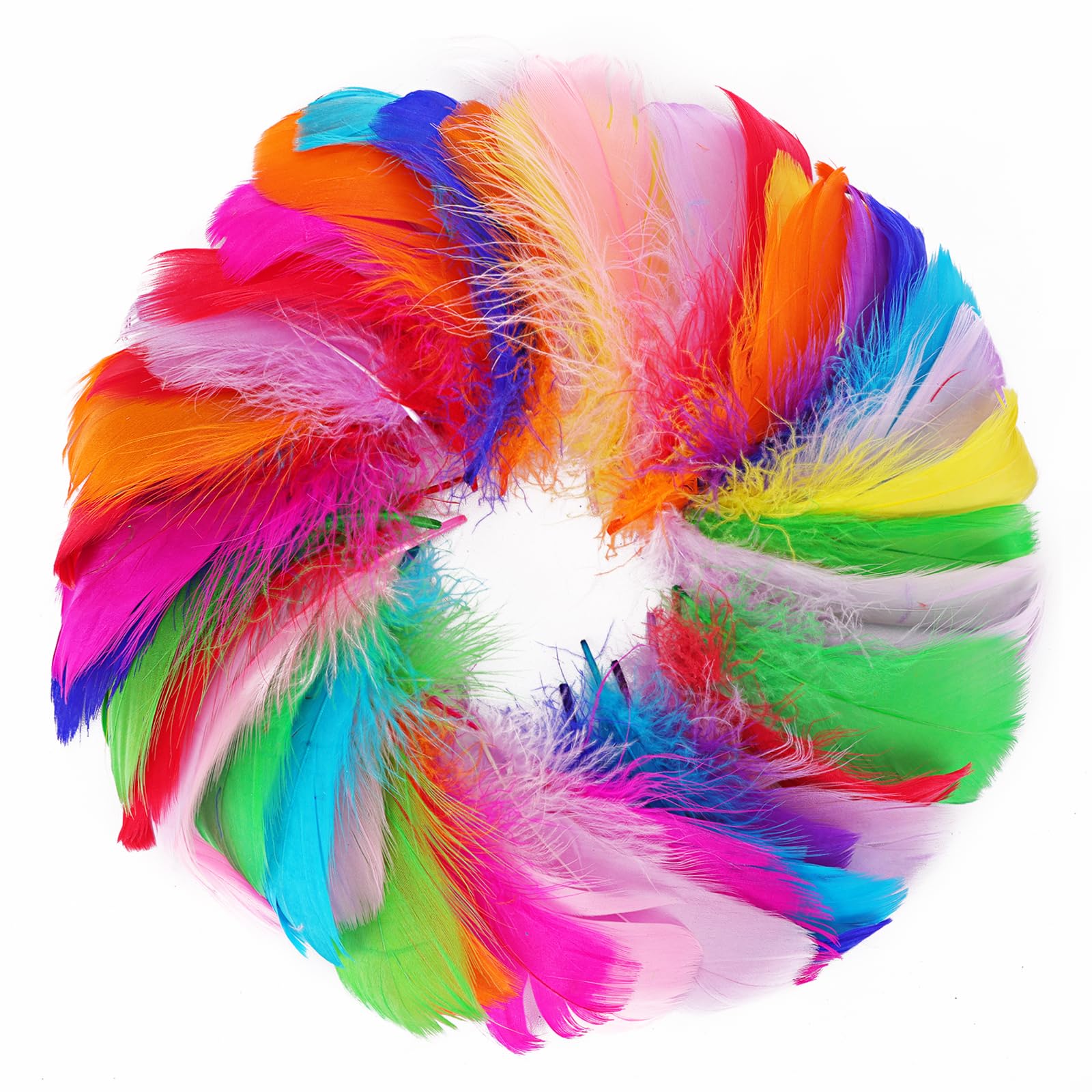 Vibrant Parrot Feathers