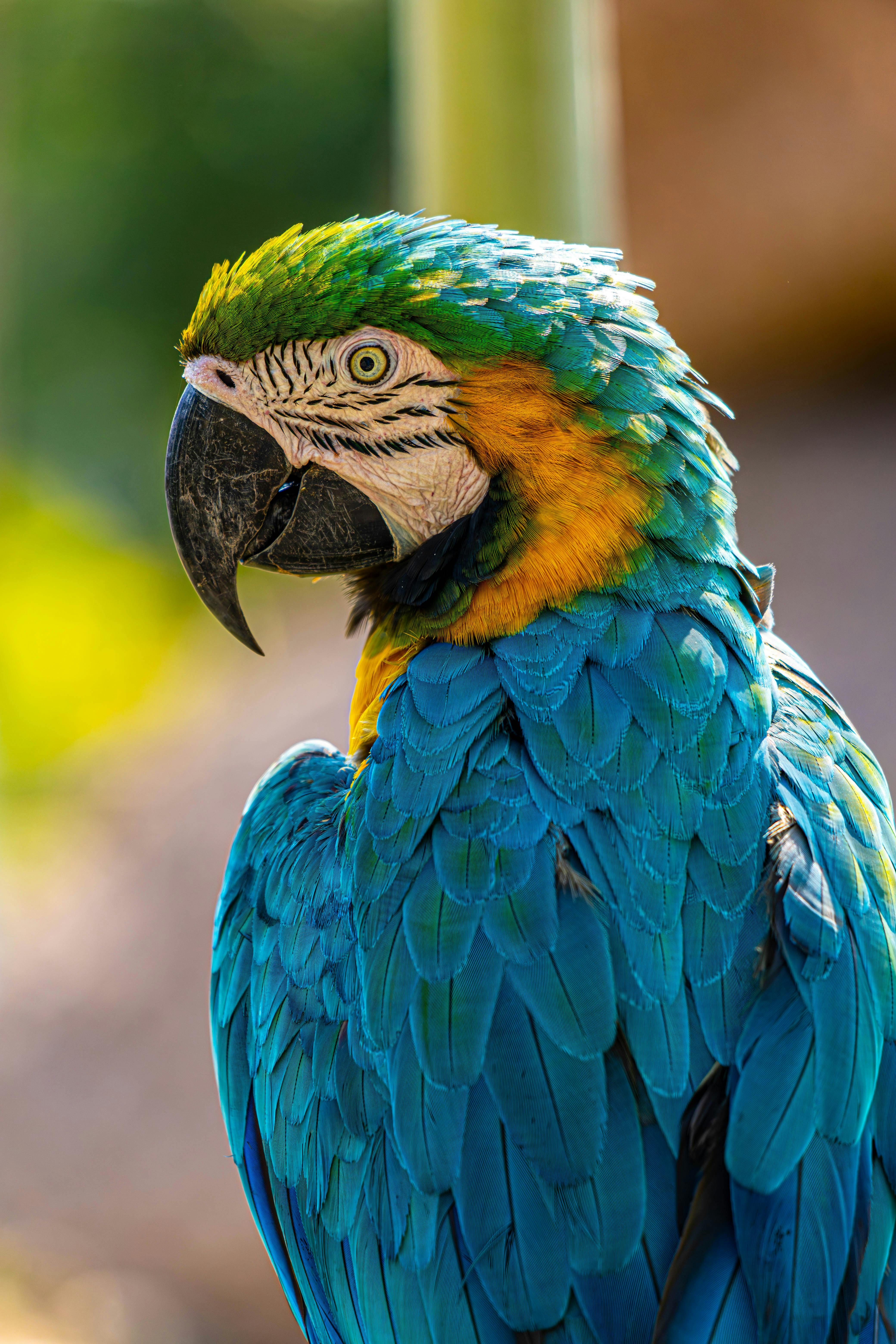 Parrot Security OS